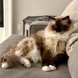 Meet your Posher, Staci